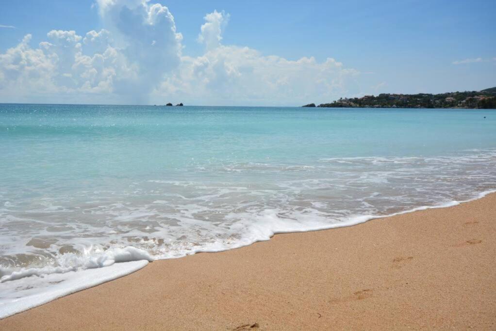 Beachfront Getaway For Two! هوماكاو المظهر الخارجي الصورة